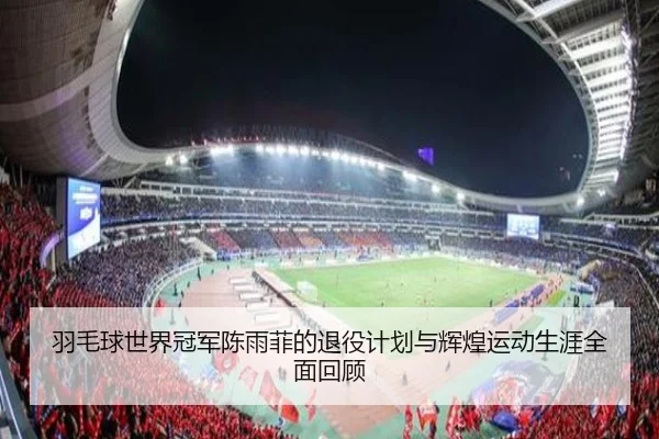 羽毛球世界冠军陈雨菲的退役计划与辉煌运动生涯全面回顾